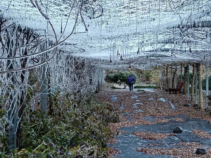 清晨低溫-1.2度 武陵農場凍成水晶宮