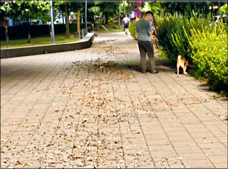 台北鄰里公園 里長提案回歸公園處管理