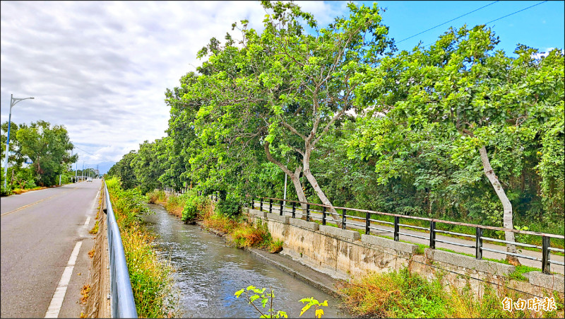 台東車站旁車多 議員建議卑南大圳加蓋