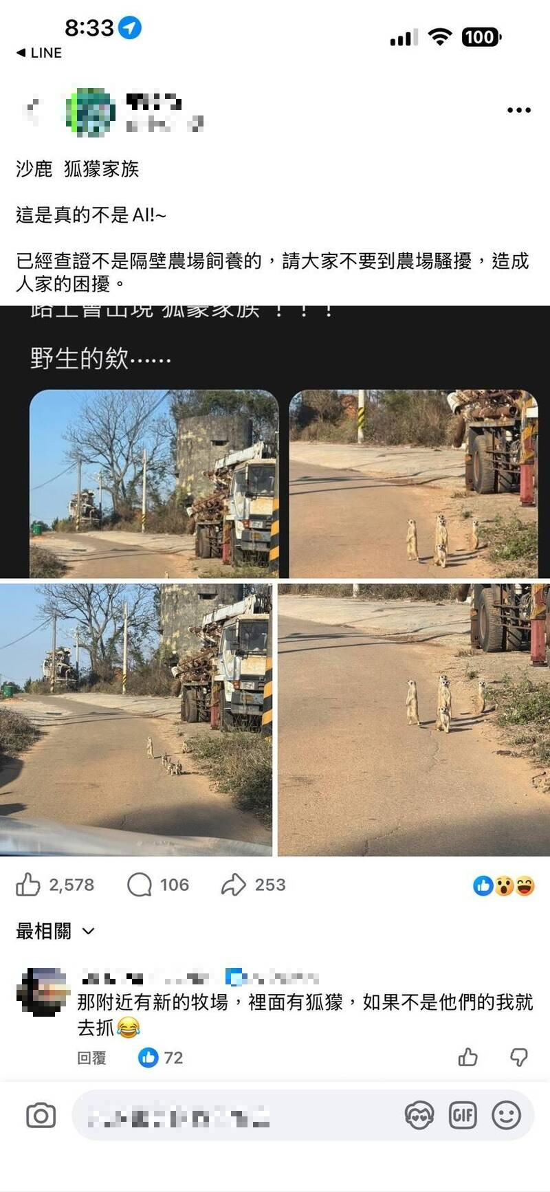 中市沙鹿發現野生狐獴? 當地農場:民眾帶寵物散步