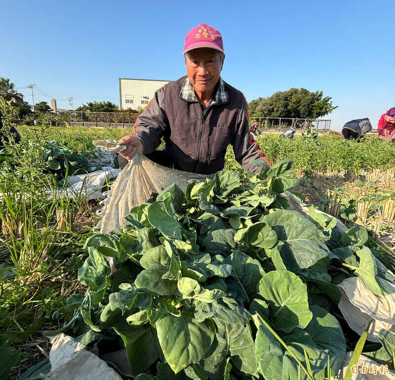 向農民借地種「福田」 一種就是36年