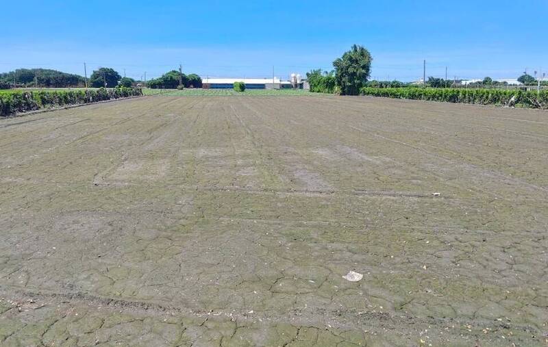 發現陶器、貝塚 成大申請開挖芳苑「崙腳寮遺址」 彰縣文化局點頭