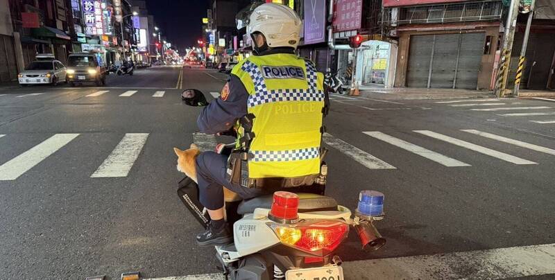 南门派出所员警载著迷途柴犬返回派出所。(图由嘉市警方提供) 南门派出所员警载著迷途柴犬返回派出所。(图由嘉市警方提供)