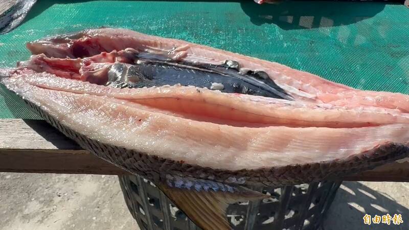 抖抖！虱目魚「死透」逾10小時還跳顫 民眾嚇到不敢吃