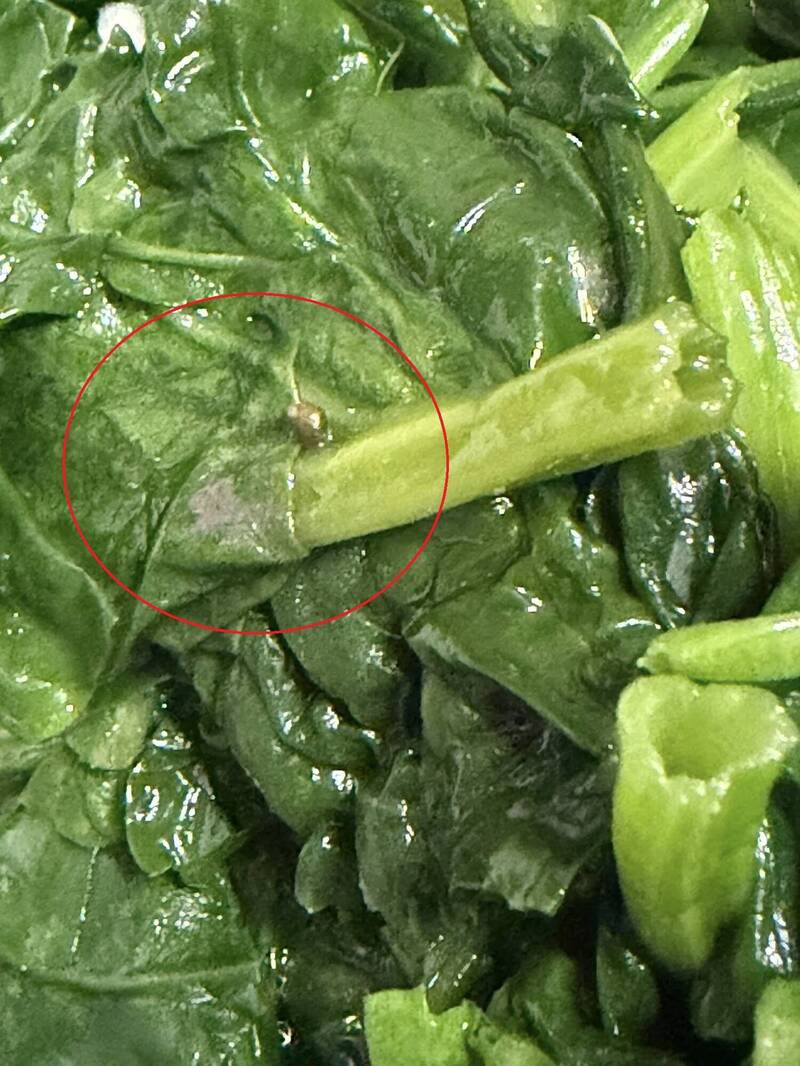 高雄鼎泰豐遭控菠菜有蝸牛又帶土 業者:多次清洗若有疏失會改善