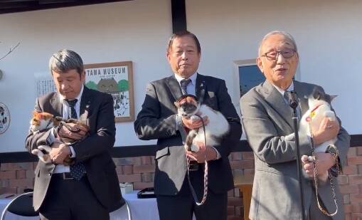 日本和歌山電鐵貴志站任命第3代貓站長 延續近20年傳統