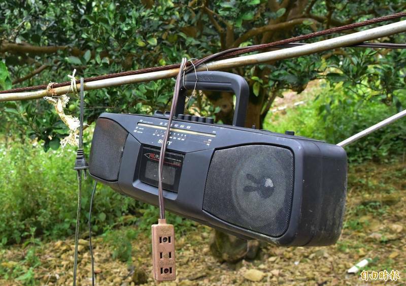 音樂、喧嘩吵到凌晨4點 露天咖啡店挨罰6千還喊冤