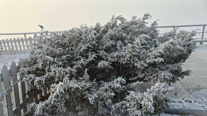 強烈冷氣團來襲玉山飄降冰霰夾雪花  再現霧淞美景