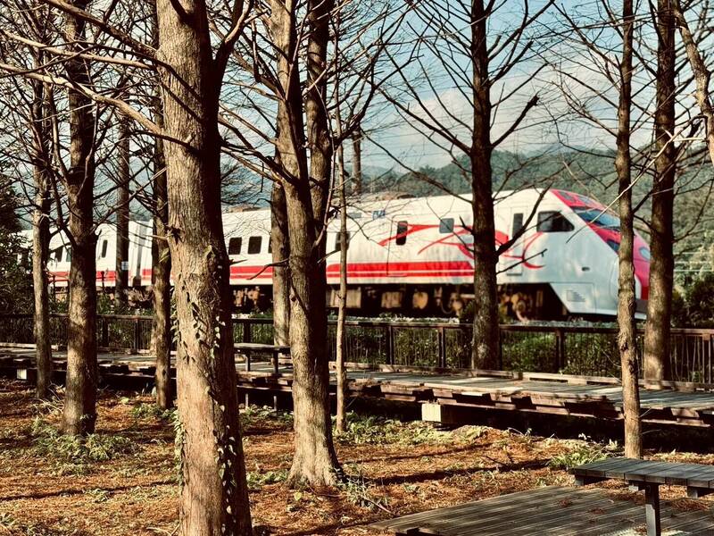 新北落羽松美景 貢寮環保公園浪漫療癒、雙溪牡丹秘境與火車同框