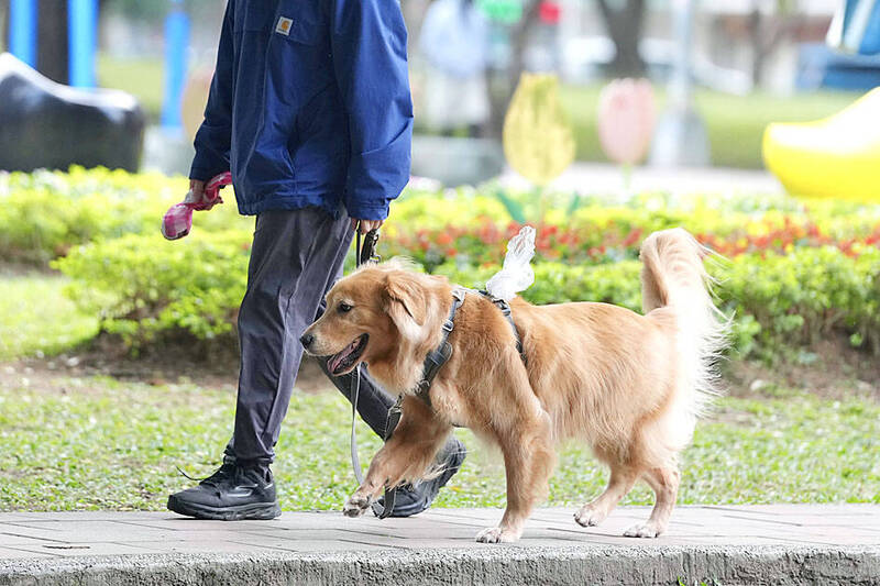 《TAIPEI TIMES》Draft Animal Protection Act changes unveiled