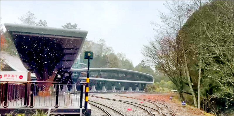 暌違8年 阿里山昨晨下雪了