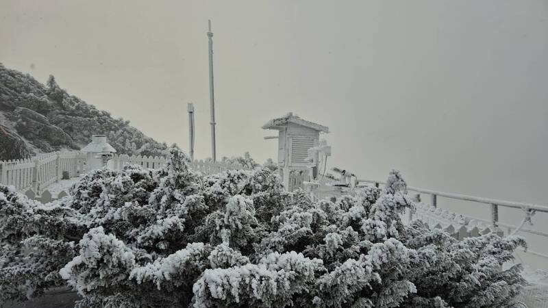 玉山下雪了!「銀白世界」景象美翻