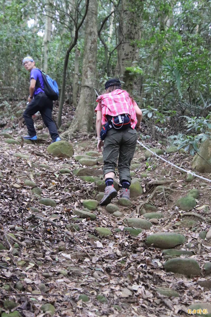 飛鳳山觀日坪步道砸千萬1/12起整修 局部封閉管制