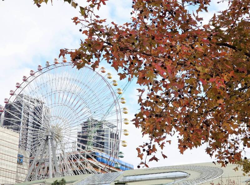 冷冽冬日的一把熱火 北市楓香染紅迎新年