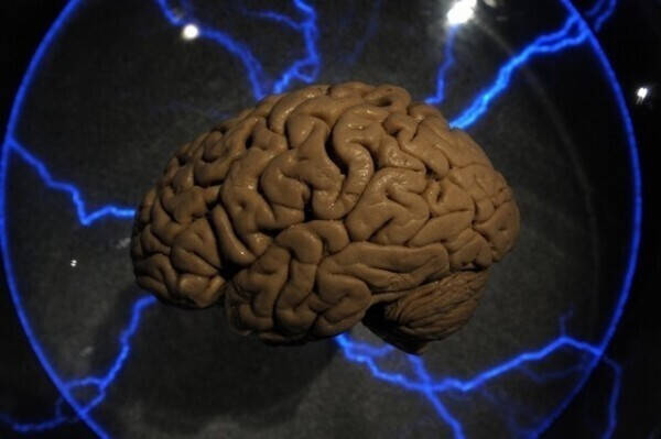 ��ѧ�ҷ��֣����������ء�ʷǰ�״