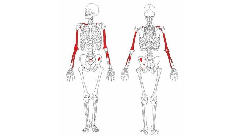 �D�мtɫ�^�K���鱾�ΰl���ġ����ˡ���ʯ���H������λ��͸�^�ׯB�ڬF�����������ɫ݆�����ϣ���������Ҋ�@�߻�ʯ�����˘O����������֫�c�i�ǽY�����@Щ�����C���ɞ�ƌW���Д���������Ա��С��䗫�������������P�I�F�C�����D�Xȡ��Grine, F. E. et al.,2026��