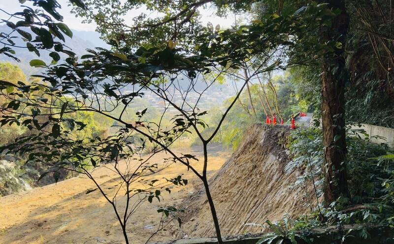 4座籃球場山林被剷光！南庄道路邊坡裸露 國有地也遭殃