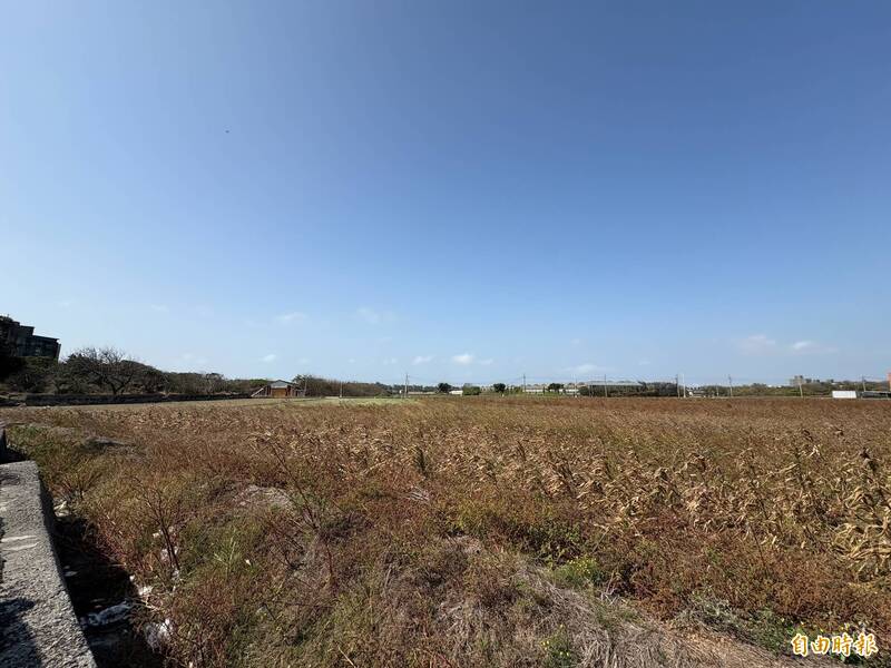 麥寮產業園區已送內政部都委會審議 開發後估可提供7千工作機會