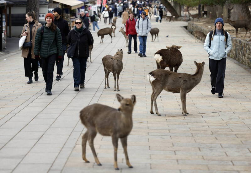 日本2025年外國旅客4270萬人創新高 歐美與澳洲旅客大增22％