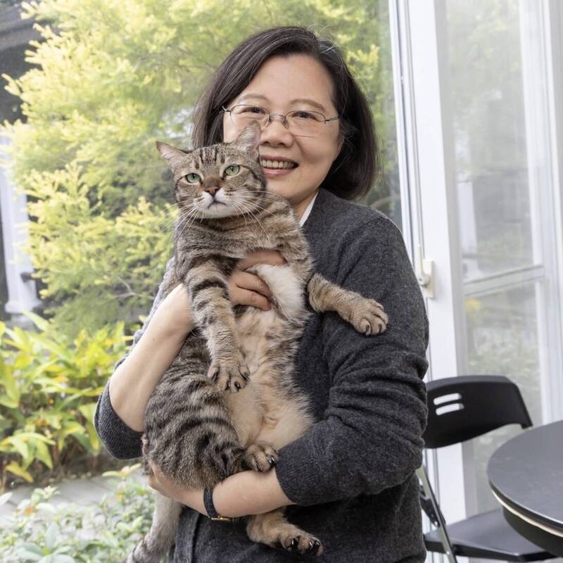 1/21國際擁抱日！小英Threads曬愛貓「蔡想想」 抱抱照逗樂全網