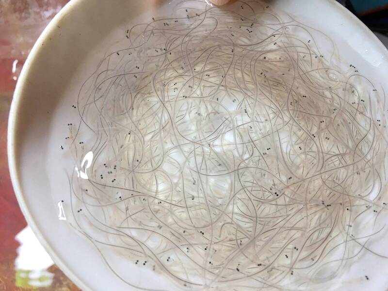 走私上千萬鰻苗遭陸海警查扣  貨主等8人疑被黑吃黑擄人判囚落幕