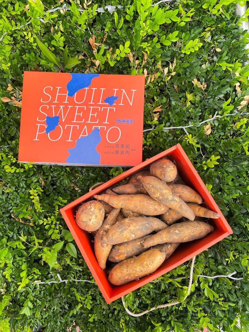 地瓜也能很時尚！水林「精品地瓜禮盒」爆紅 只送不賣