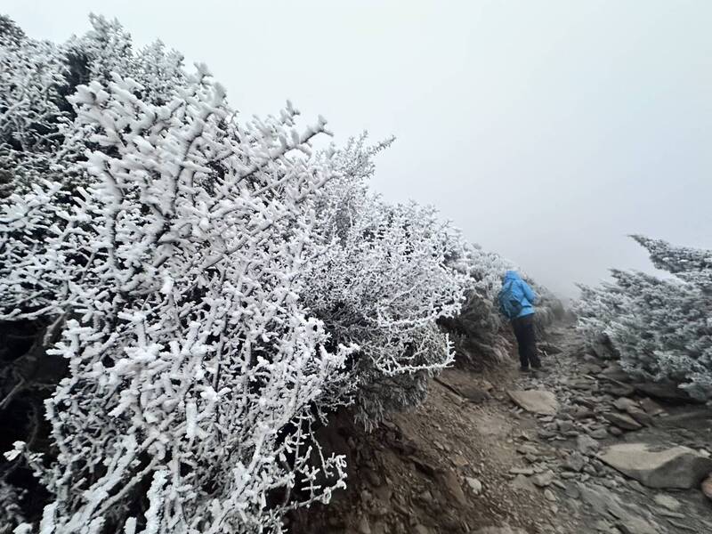-6.8度全台最低溫！玉山「白牆」霧淞絕美 冷到僅15人登頂