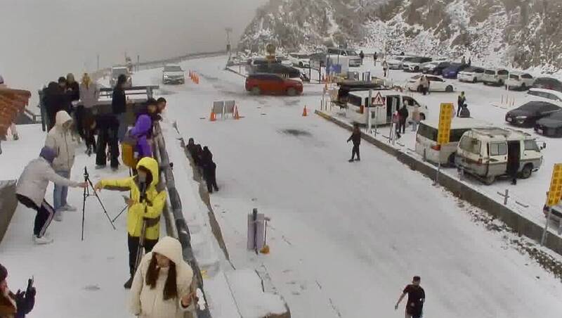 合歡山下ㄧ夜冰霰!遊客喜迎冰雪世界