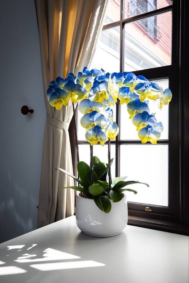 澤倫斯基點名台灣零組件助俄國 賴清德堅定回應:不容協助侵略者