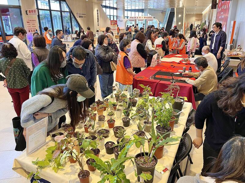 岡山高醫揮毫迎春 大廳墨香四溢