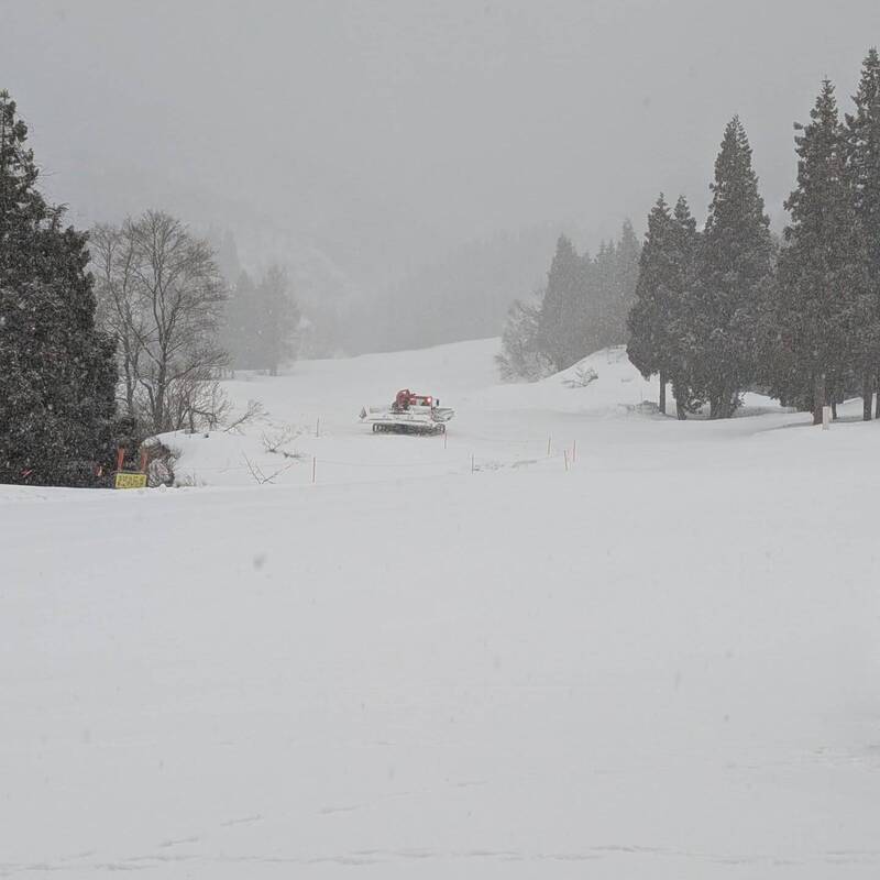 又有台灣遊客在日本出事!6人滑雪團迷路受困一夜待援中