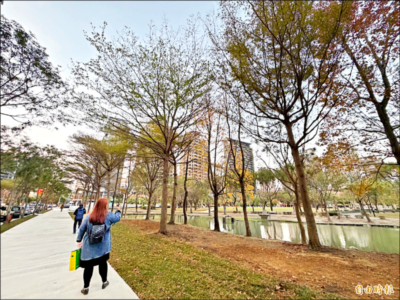 竹北水圳公園升級 人樹共生步道完工