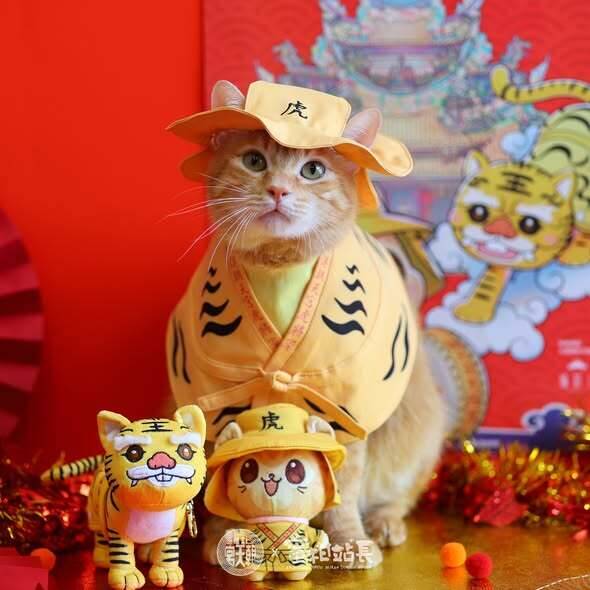 蜜柑日前虎袍加身，與北港朝天宮跨界合作。（高捷提供）