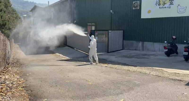 台中豐康牧場蛋雞禽流感病死竟就地埋 全場5000多隻今全面撲殺