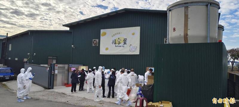 工作人員穿戴防護衣準備撲殺雞隻。（記者張軒哲攝）