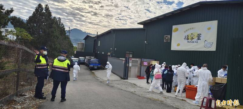台中蛋雞場隱匿禽流感疫情 吹哨農友:員工大量埋雞露餡