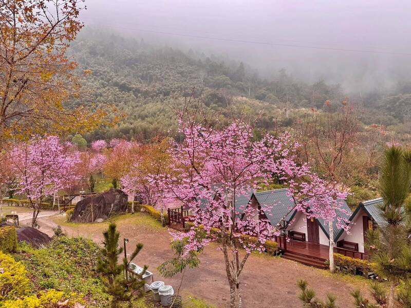 竹縣367家露營區業者 經4年輔導首家合法業者誕生