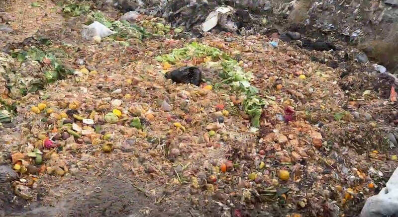 廚餘之亂進化1》非洲豬瘟引爆廚餘之亂 台中廚餘亂象再進化