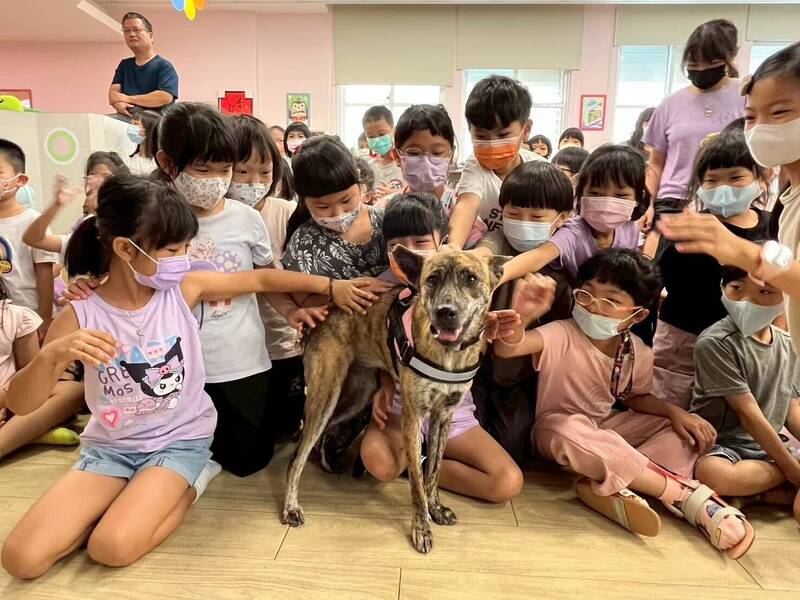 動保生命教育扎根 屏縣陪伴犬貓走入校園今年辦25場