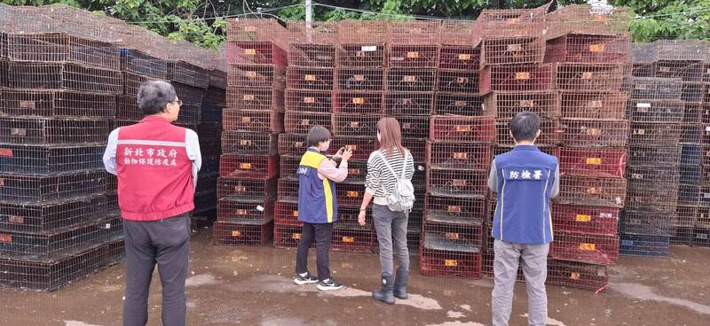 禽流感好發季新北動保加強防疫稽查 籲民眾「5要6不」防疫