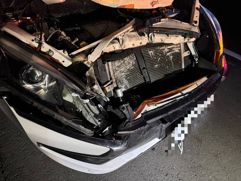看到就只剩5公尺!凌晨國3台南白河段撞上 車毀鹿亡