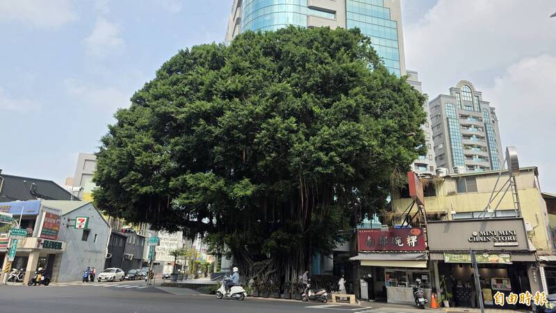 台南街頭「巨無霸花椰菜」?台南百年最萌路標