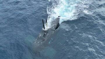 海鯤潛艦成功潛航50米 吳釗燮發文獨家空拍視角