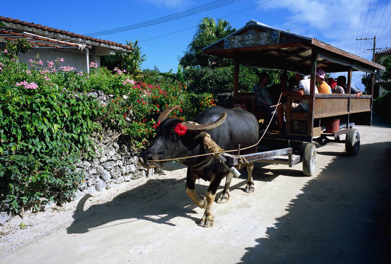 觀光公害退散!日本「過度旅遊」對策地區 擬從47處增到100處