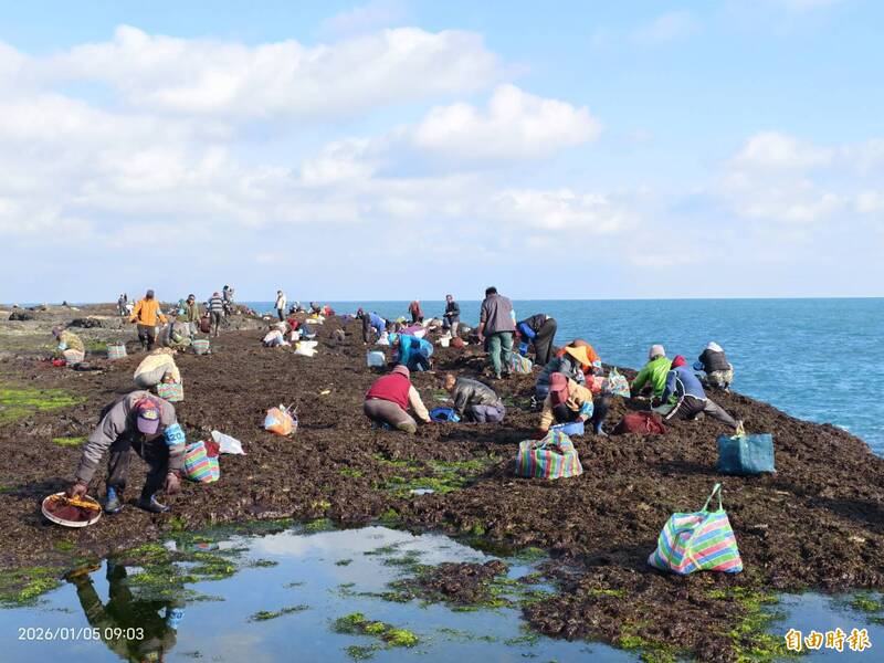 澎湖三金1》澎湖人專屬小確幸 「三金」年終獎金依序登場