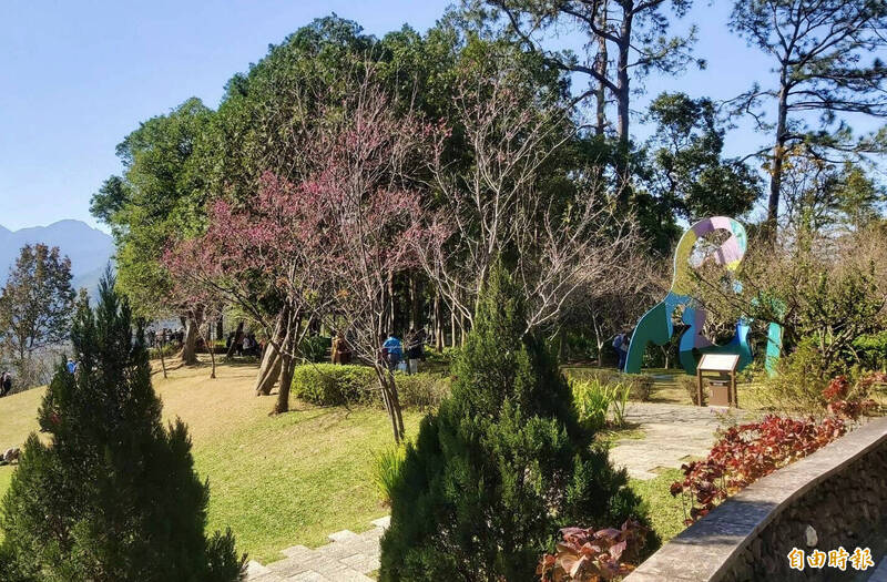 櫻櫻沒代誌!跟著「2026北橫櫻花散步地圖」賞櫻去