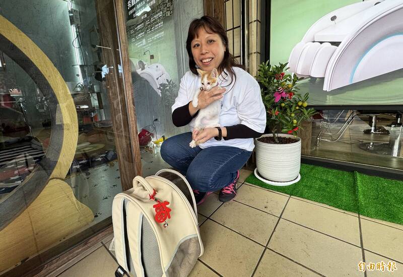 每3小時餵1次奶 桃園動保志工暖帶小奶貓到上班