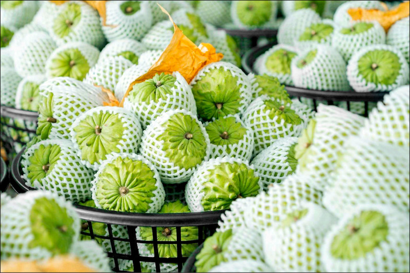 台東鳳梨釋迦 星國銷量破1.6萬公斤