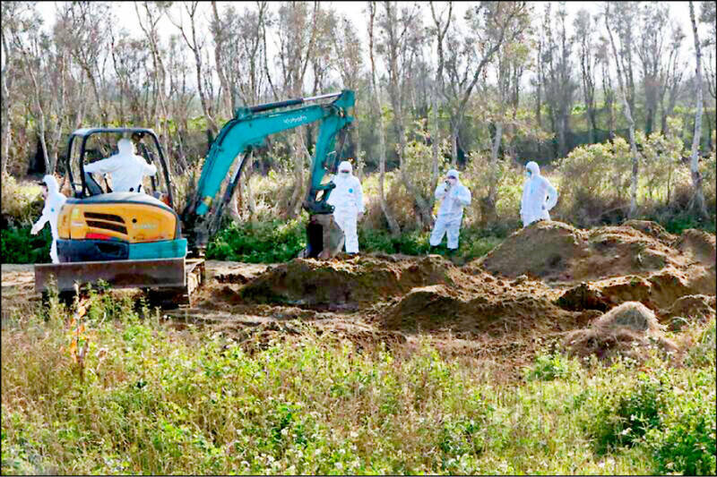 台中豐康畜牧場禽流感死雞埋苗栗 中檢聲押禁見場主、地主