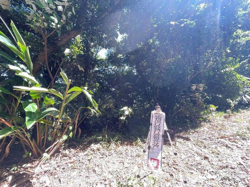 春節前最後一次拍賣 林口竹林山觀音寺投標鄰近土地